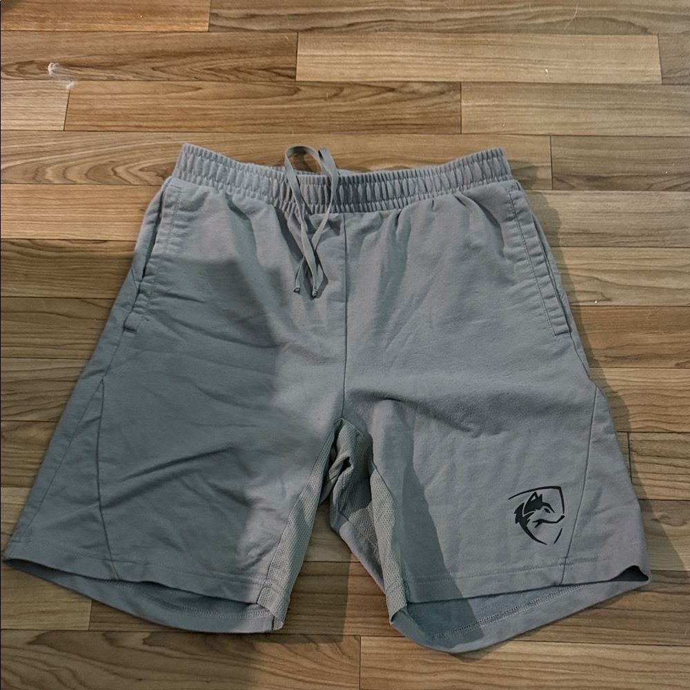 Gray Alphalete Shorts